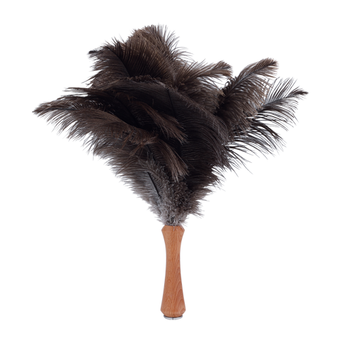 Ostrich Feather Duster