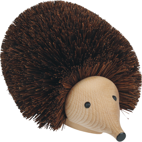 Shoe Cleaning Hedgehog