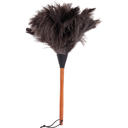 Ostrich Feather Duster