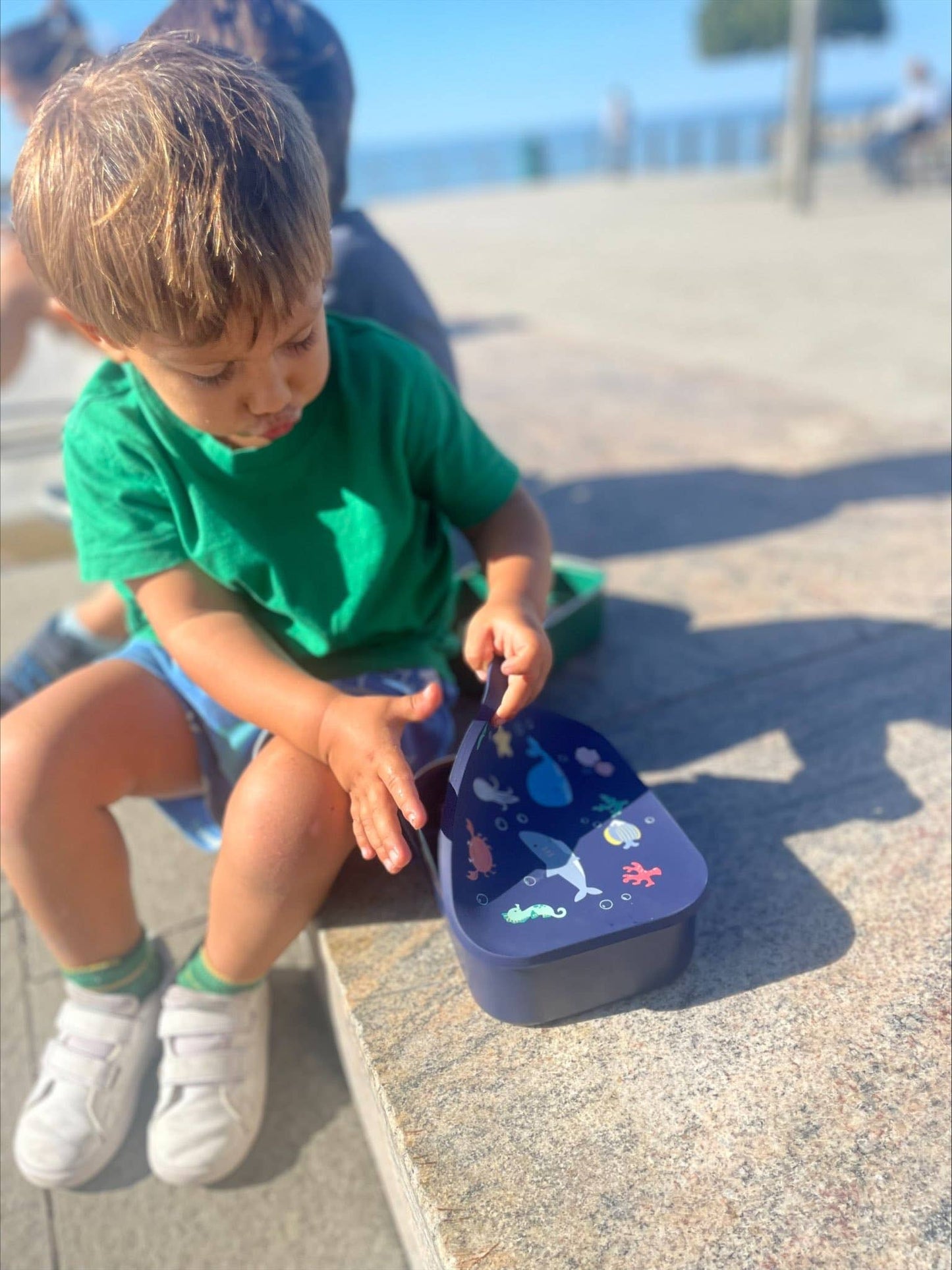 Little Lund Kids Stainless Steel Lunch Box: Ocean