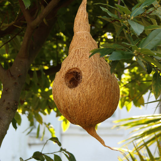 Coir Bird Nest