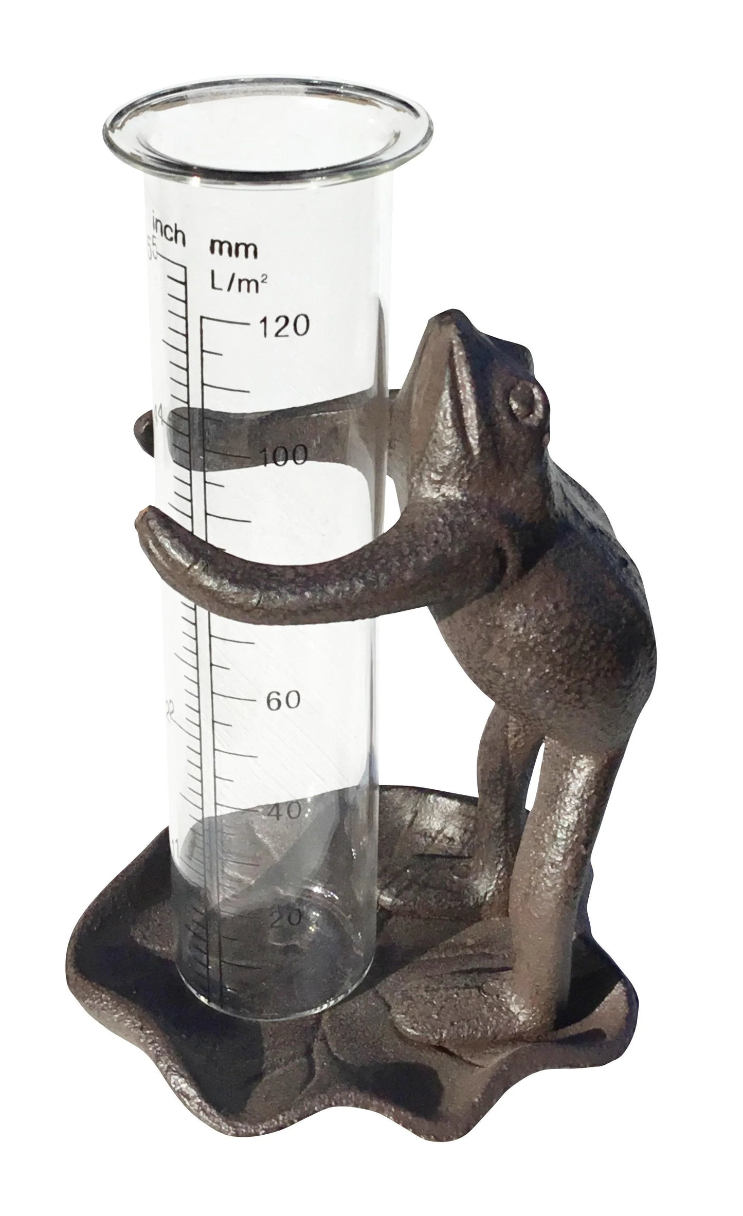 Frog Rain Guage