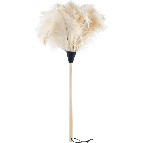Ostrich Feather Duster