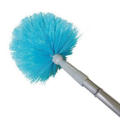 Cobweb Brush
