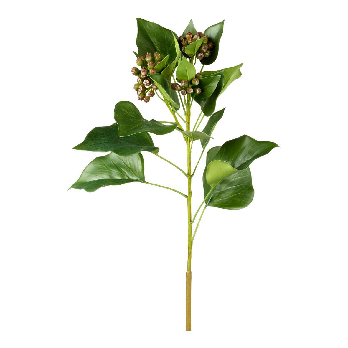 Ivy Stem with Buds Green