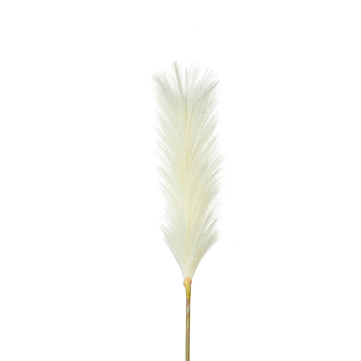 Soft Feather Stem Ivory