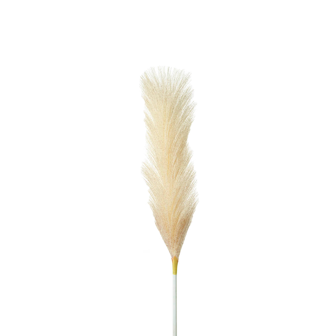 Soft Feather Stem Ivory/Blush