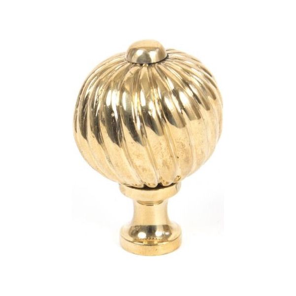 Polished Brass Spiral Cabinet Knob