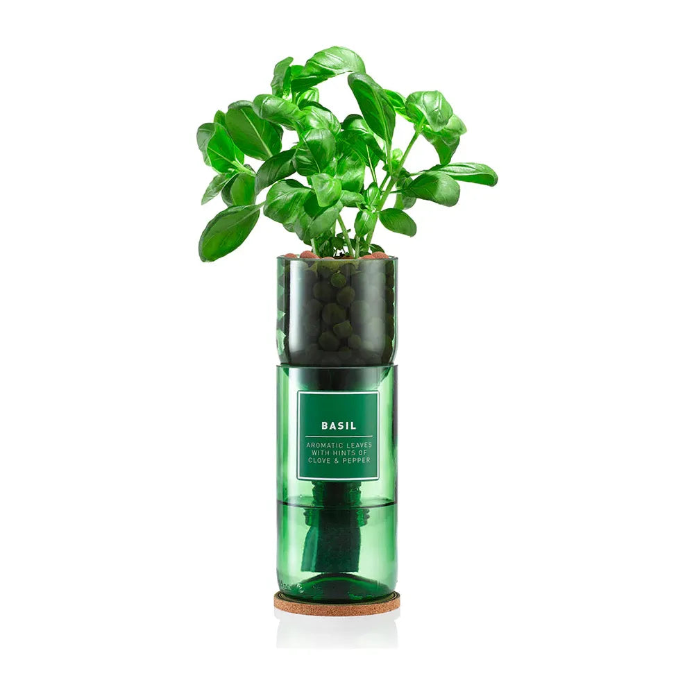 Hydro-Herb Kit