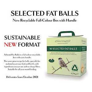 Suet Fat Balls Eco Box (50)