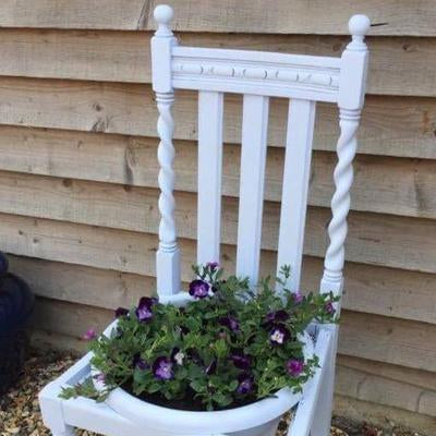 Al Fresco Parma Violet