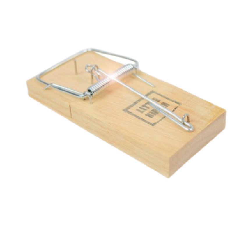 Little Nipper Mouse Trap