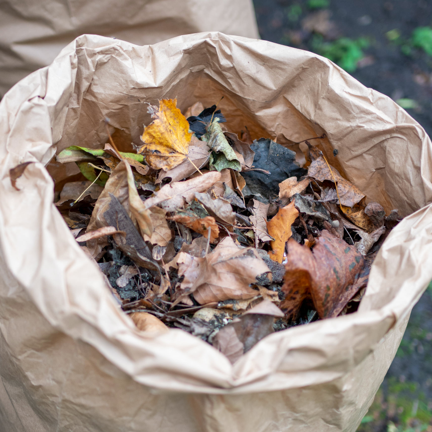 Compostable Garden Waste Bags
