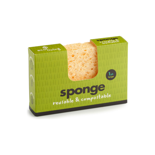 Single Sponge Large