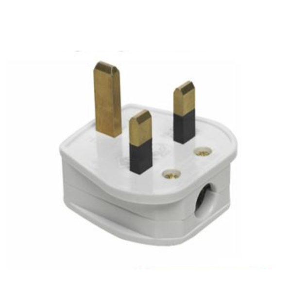 Fused Plug