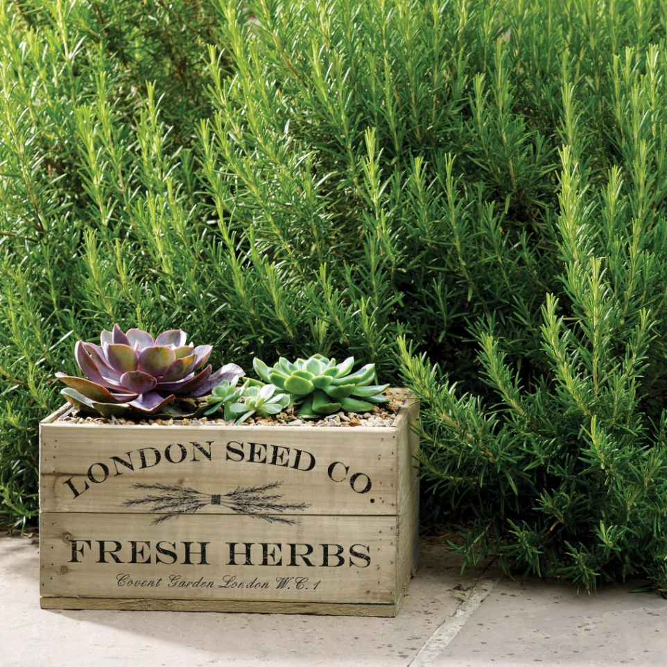 Large Antique Brown Herb Crate