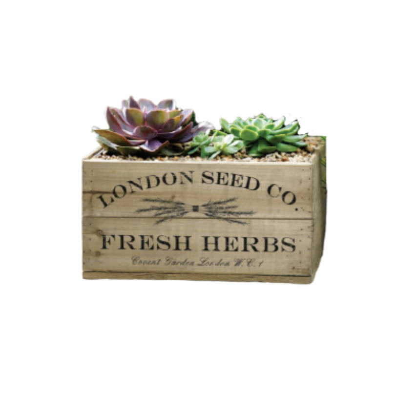 Large Antique Brown Herb Crate