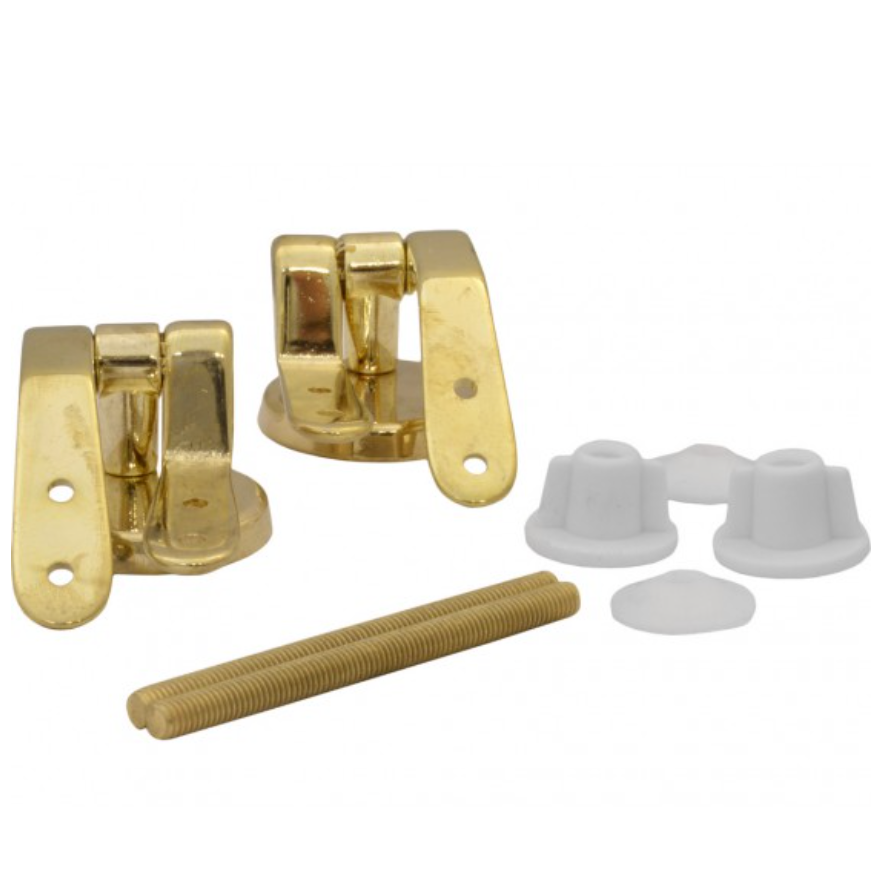 Polished Brass Pillar Toilet Seat Hinges