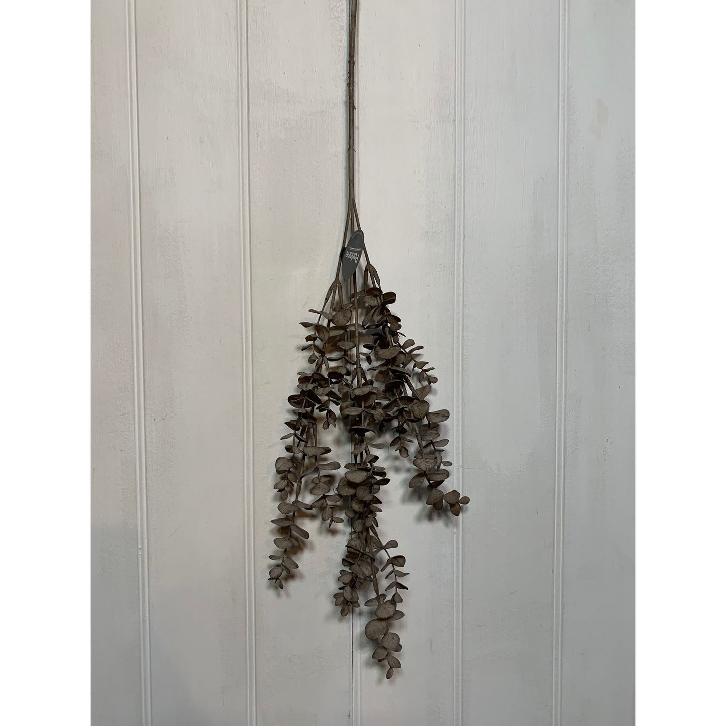 Eucalyptus Spray Dark Brown