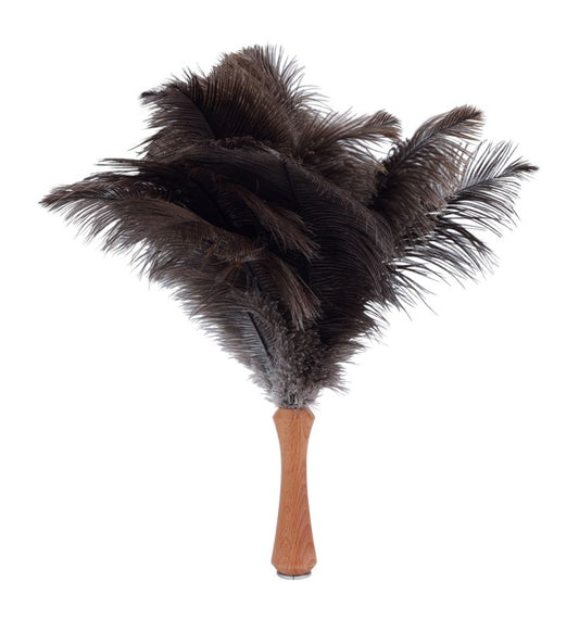 Ostrich Feather Duster