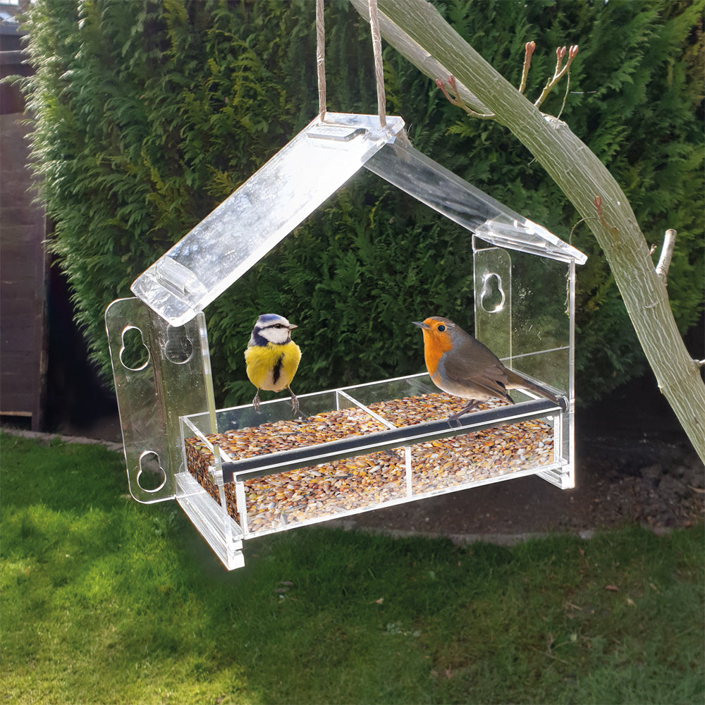 Frequent Flyer Clear Bird Feeder