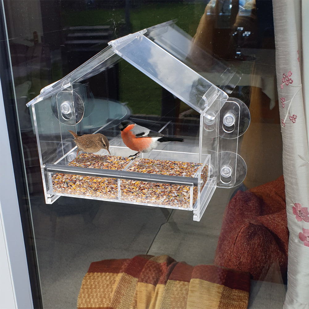 Frequent Flyer Clear Bird Feeder