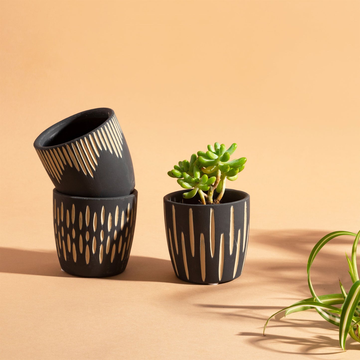 Black Sgrafitto Mini Planters Assorted Pattern