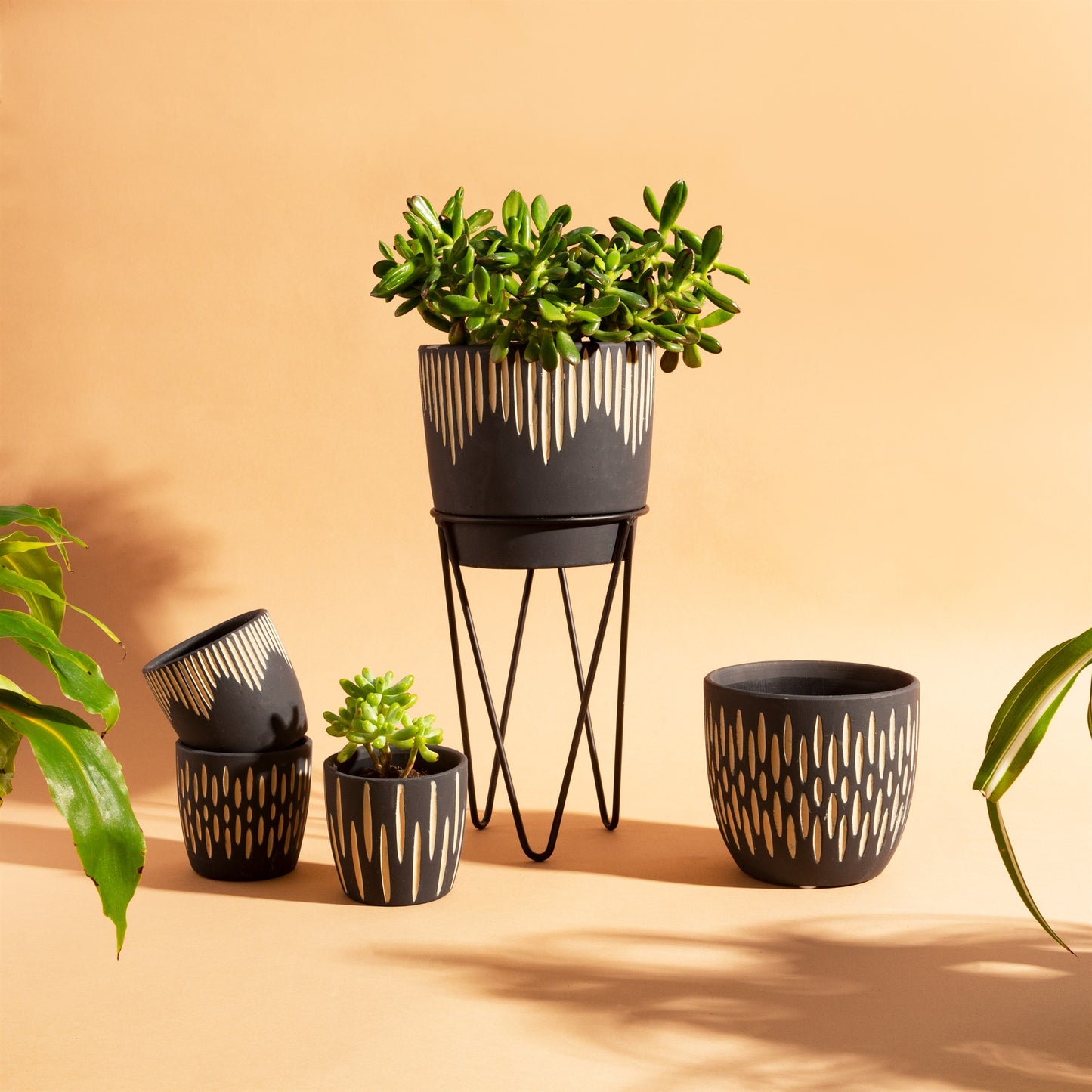 Black Sgrafitto Mini Planters Assorted Pattern