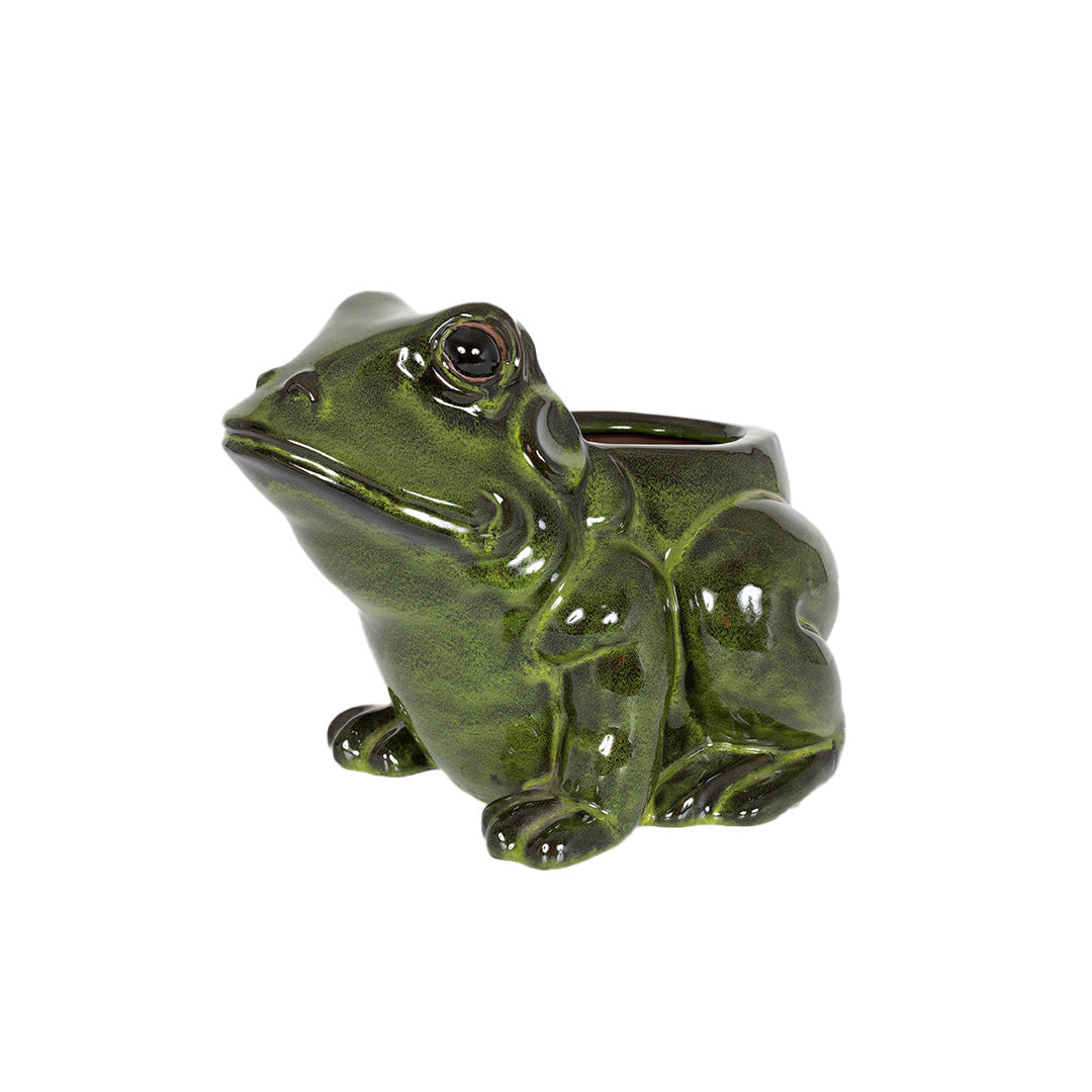 Glazed Frog Planter