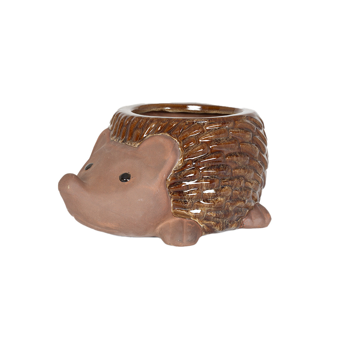 Glazed Hedgehog Planter