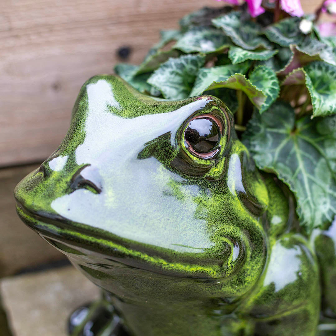 Glazed Frog Planter