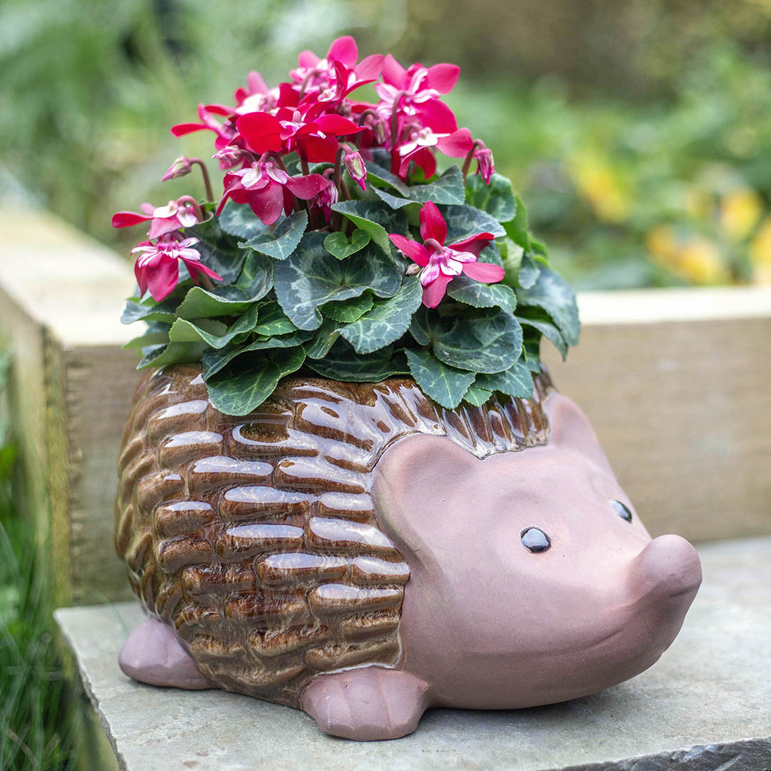 Glazed Hedgehog Planter