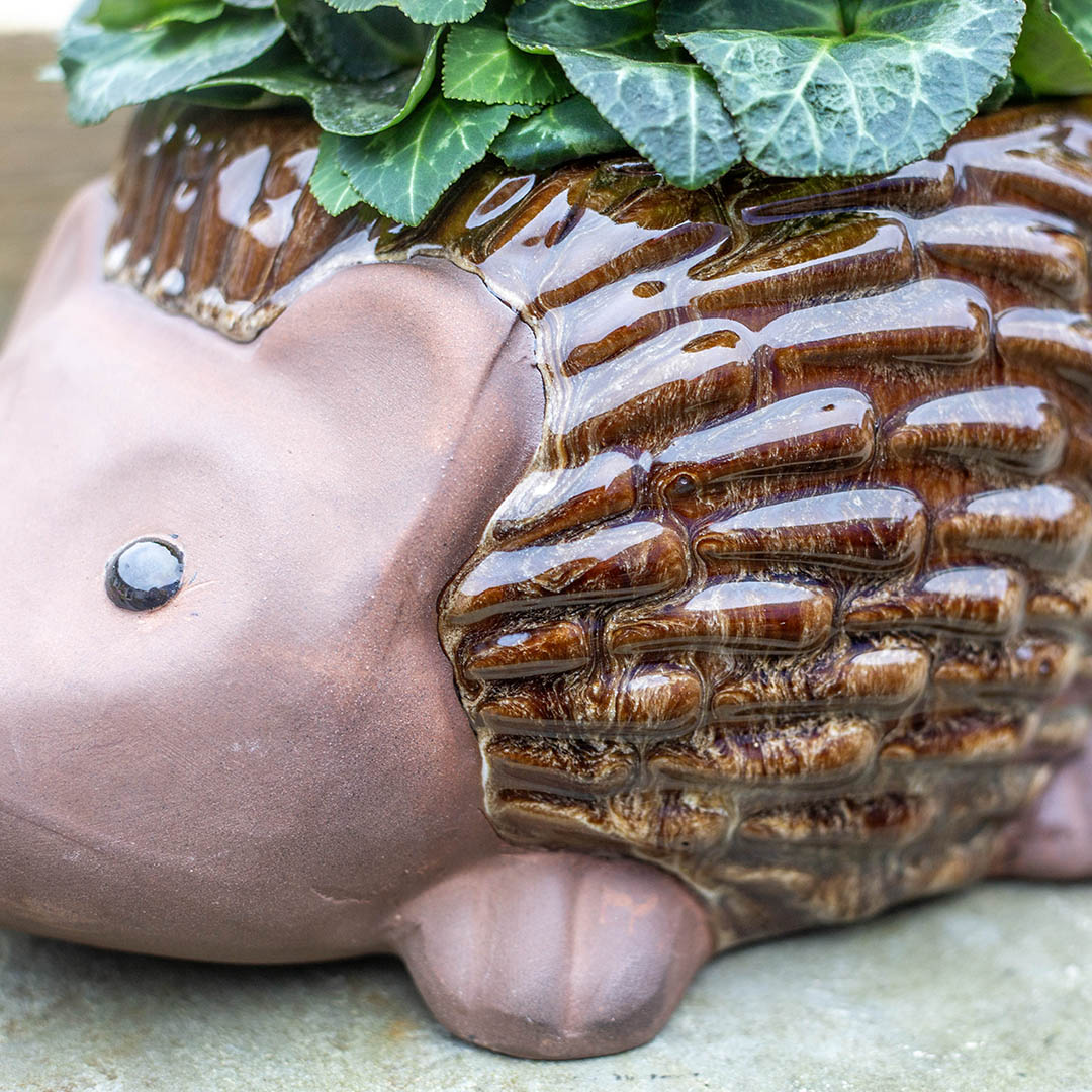 Glazed Hedgehog Planter