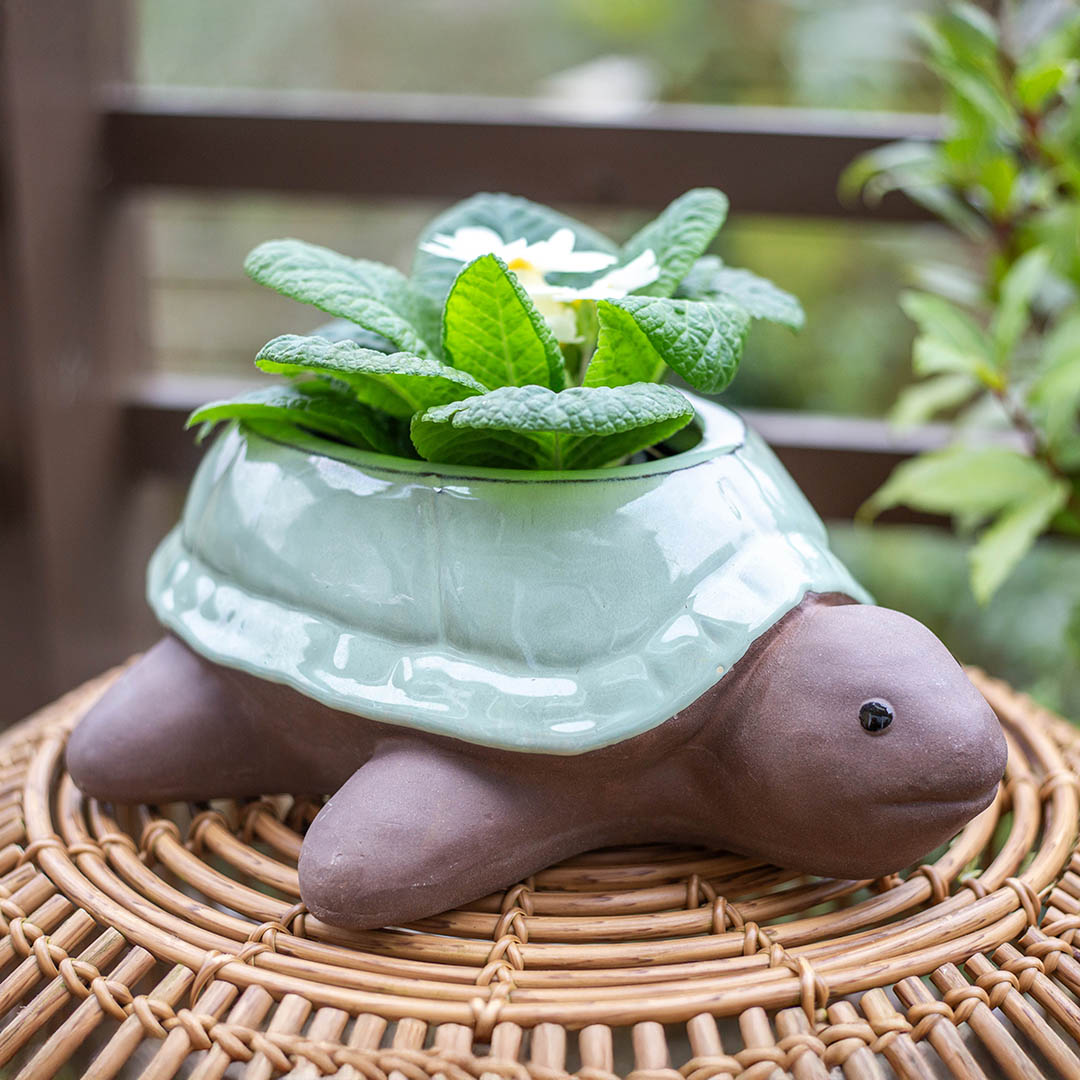 Glazed Tortiose Planter