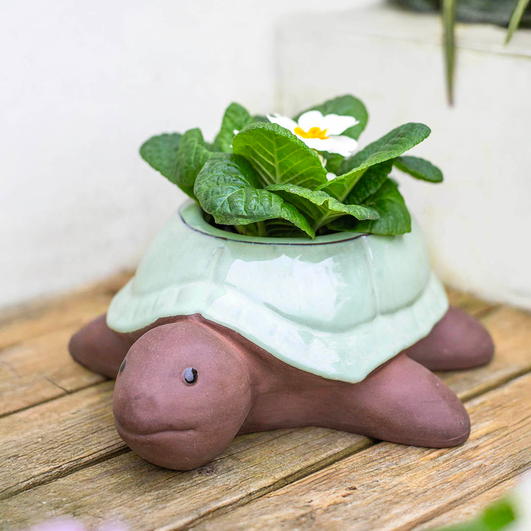 Glazed Tortiose Planter