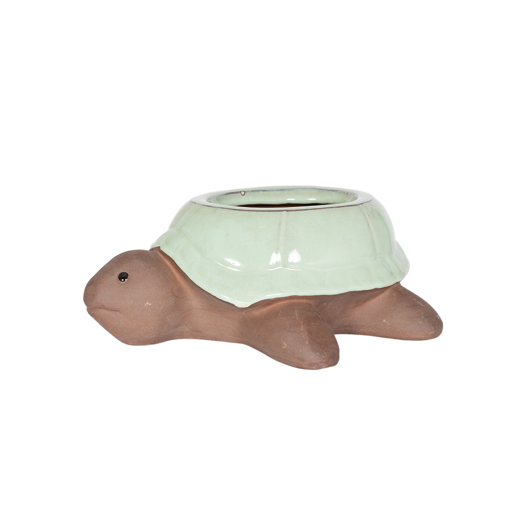 Glazed Tortiose Planter