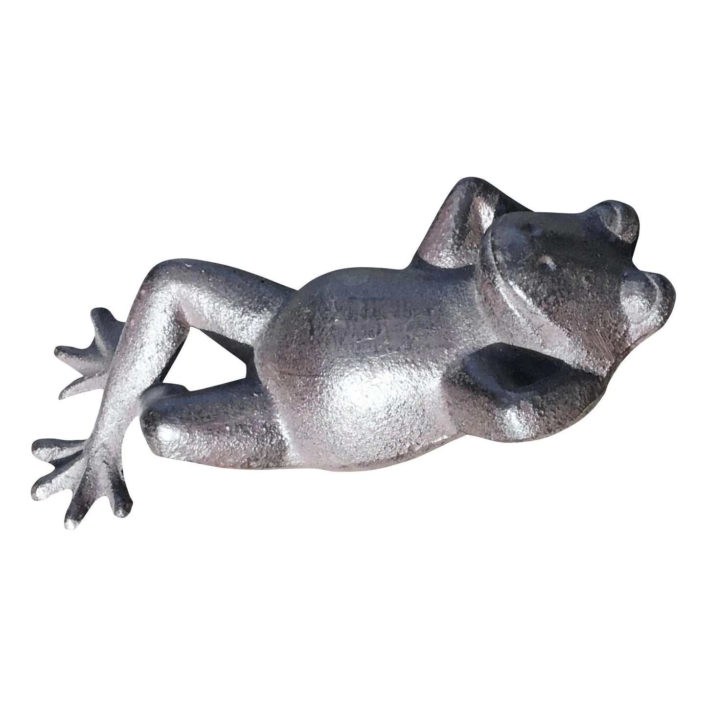 Relaxed Lying Down Frog