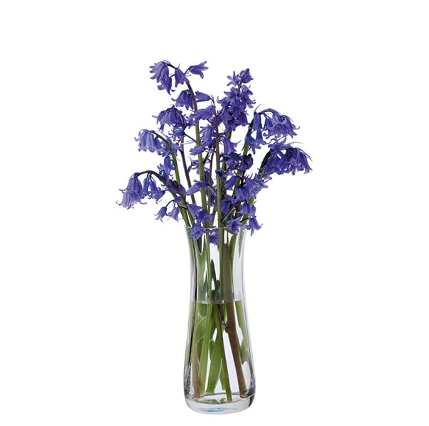 Dartington Crystal Florabundance Bluebell Vase