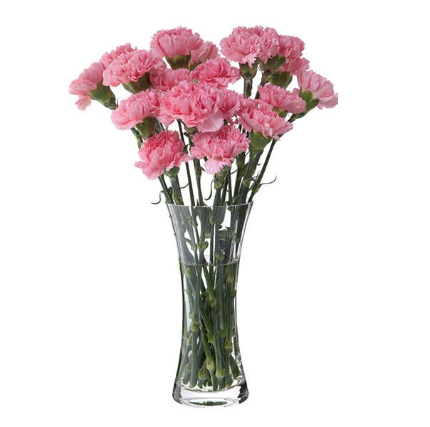 Dartington Crystal Florabundance Carnation Vase