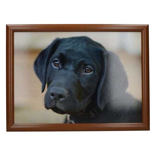 Creative Tops Labrador Laptray