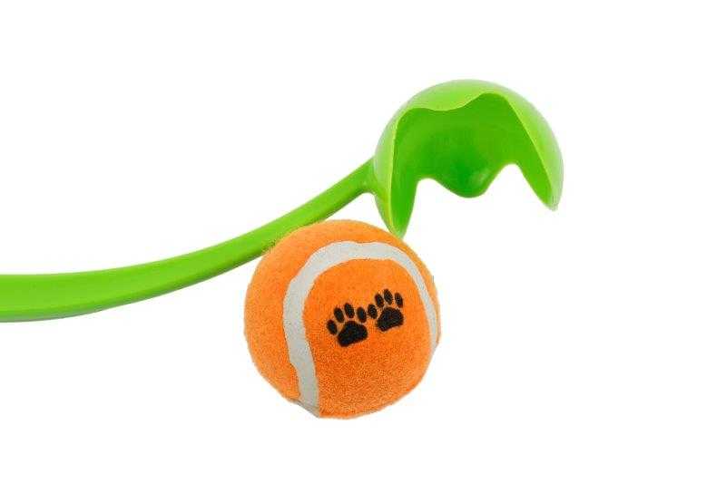 Pet Ball Launcher