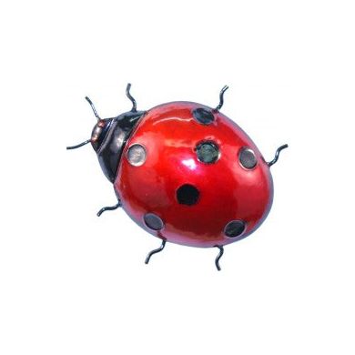 Wall Art Ladybird