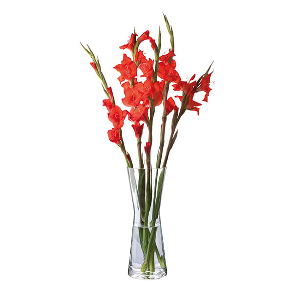 Dartington Crystal Florabundance Gladioli Vase