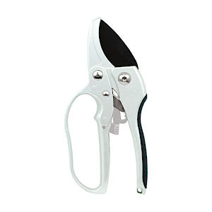 Ratchet Anvil Secateur