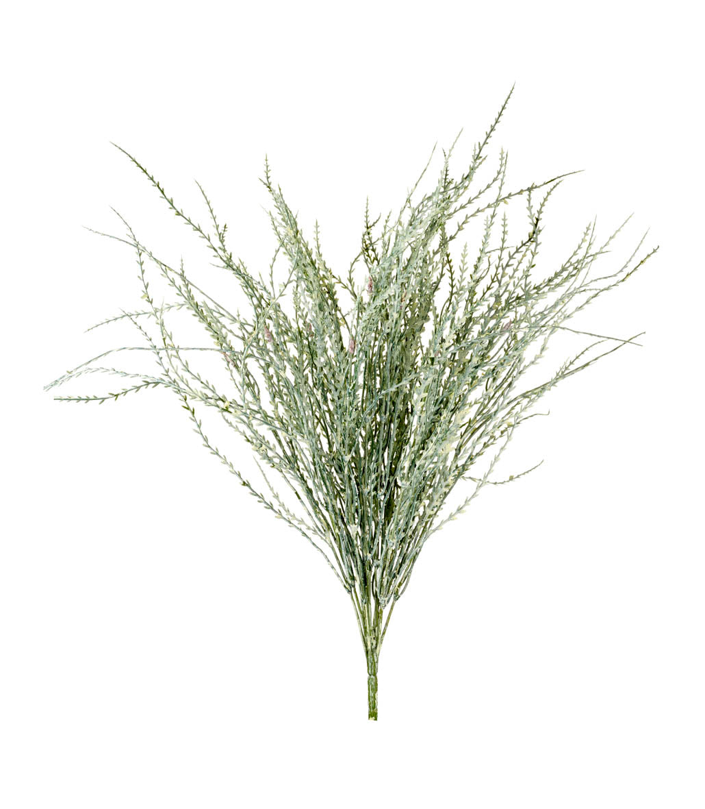 Wheatgrass Bush Light Green