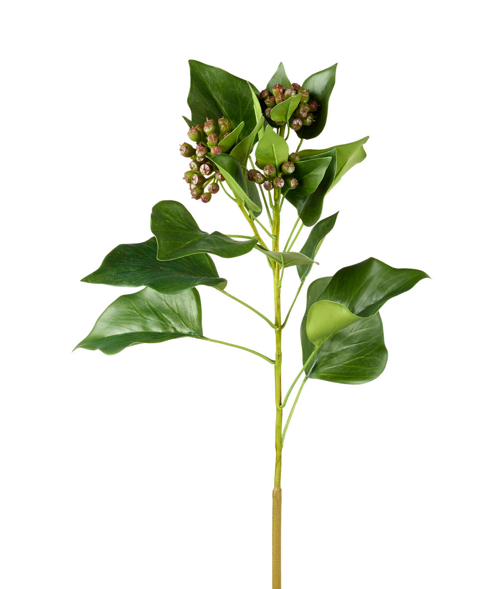 Ivy Stem with Buds Green