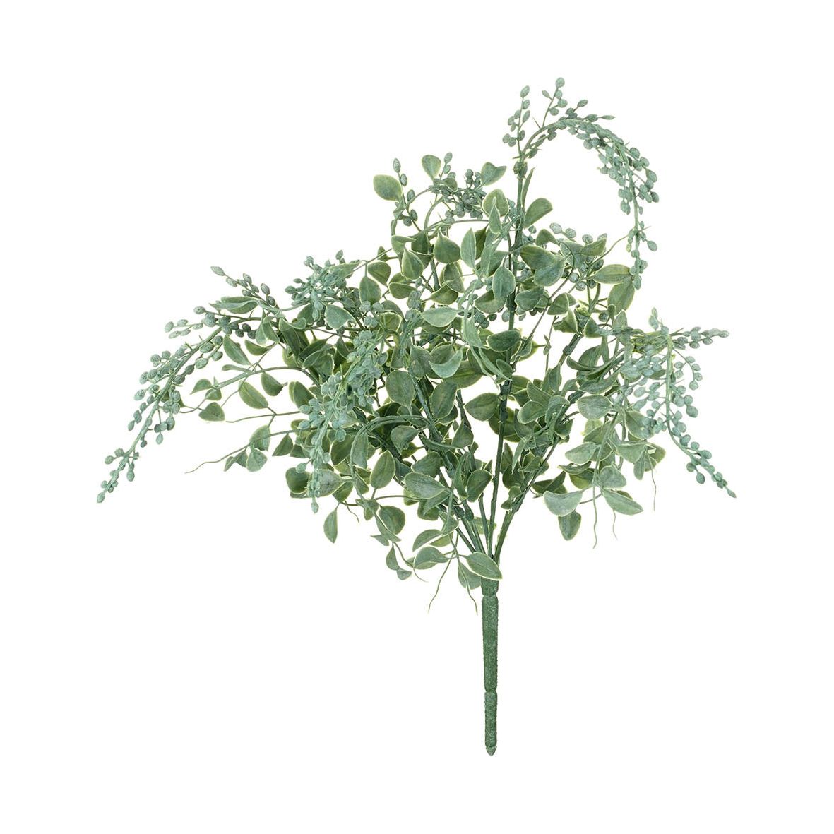 Sweetpea Leaf Green