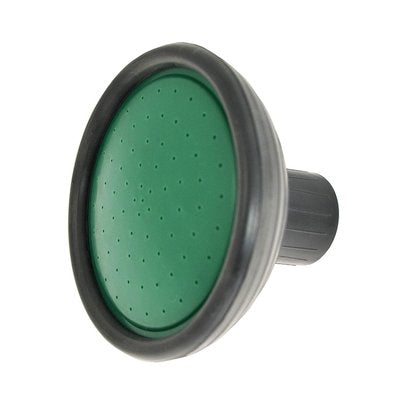 Green Jem Watering Can Rose
