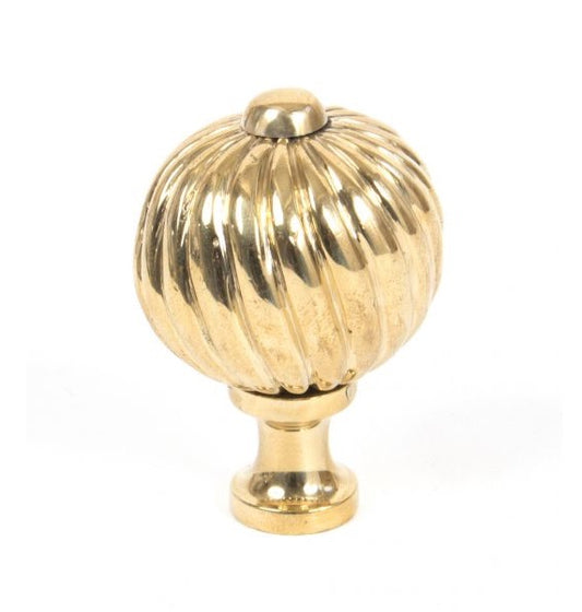 Polished Brass Spiral Cabinet Knob
