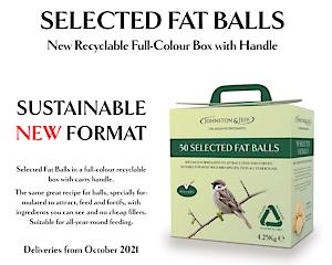 Suet Fat Balls Eco Box (50)